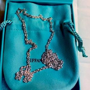 Tiffany&Co Sterling silver large pendant chain